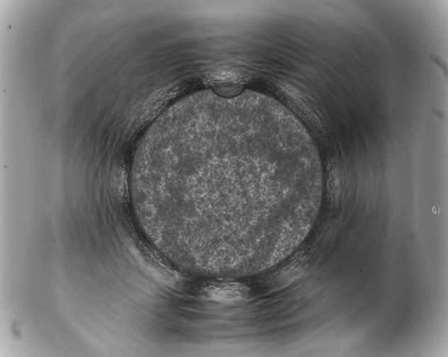 X0000102390459200808291427