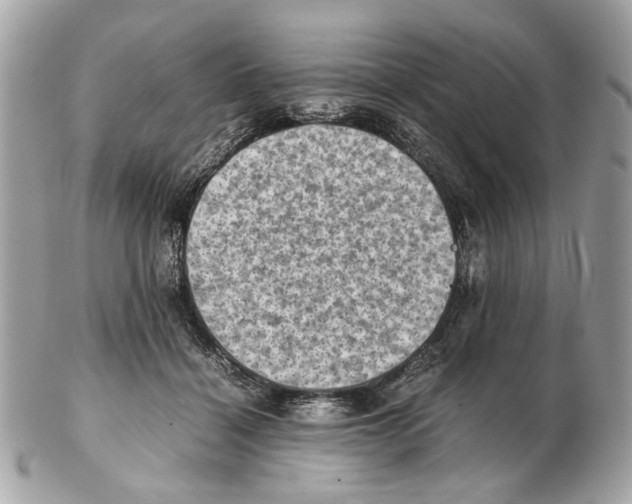 X0000102390460200808291427