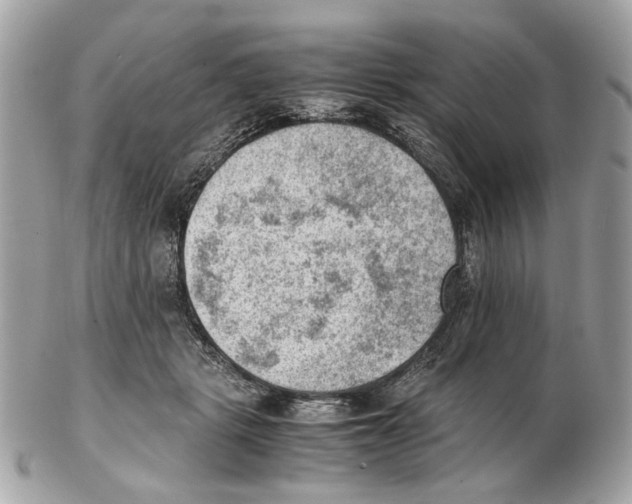 X0000102390461200808291427