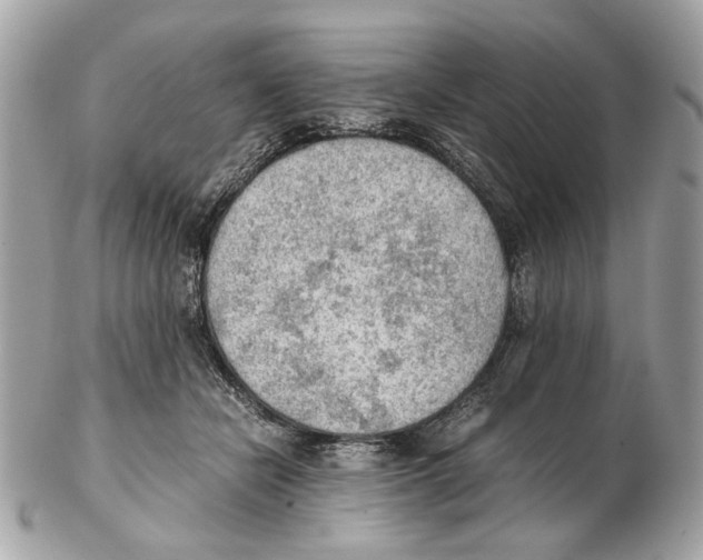 X0000102390462200808291427