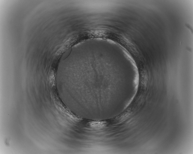 X0000102390465200808291427