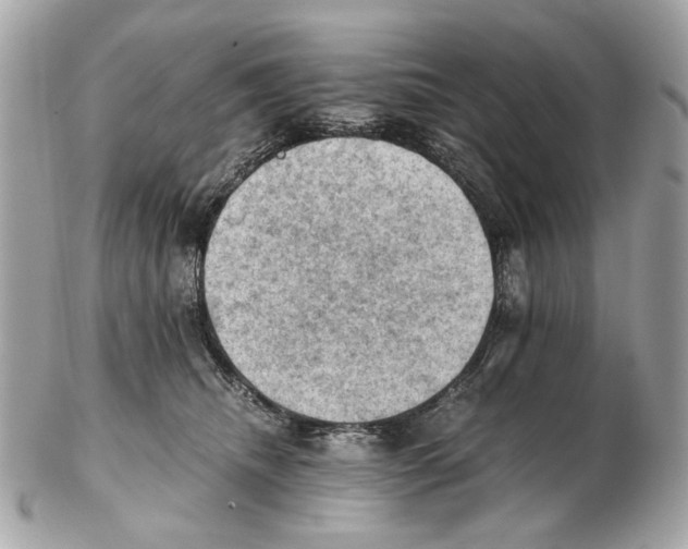 X0000102390468200808291427