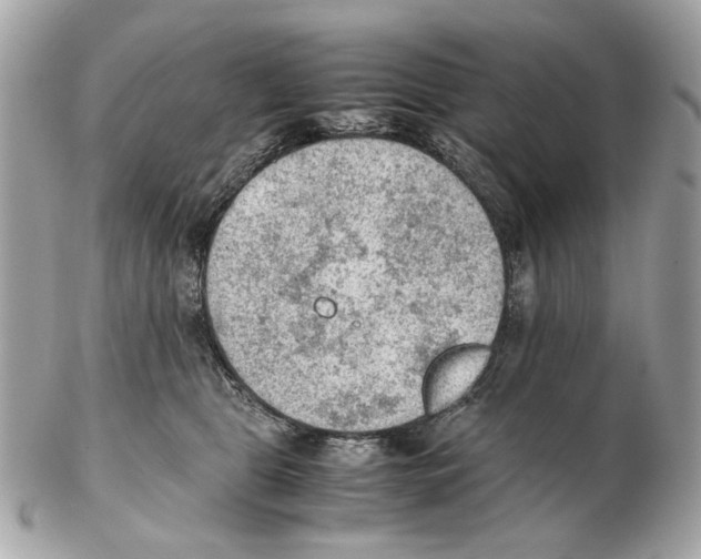 X0000102390469200808291427