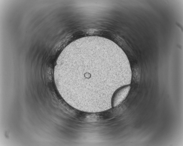 X0000102390470200808291427