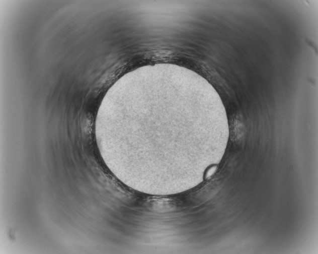X0000102390472200808291427