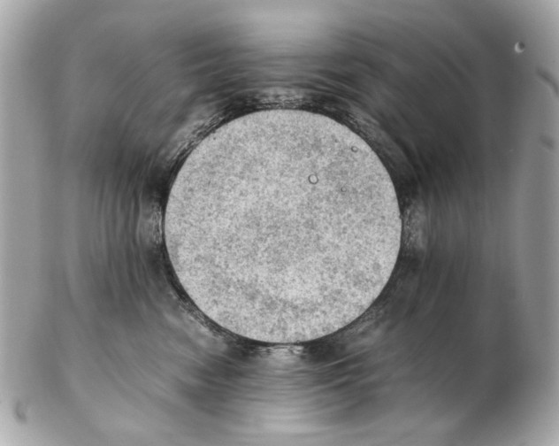 X0000102390474200808291427