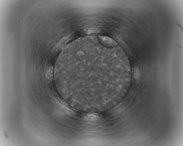 X0000102390475200808291427