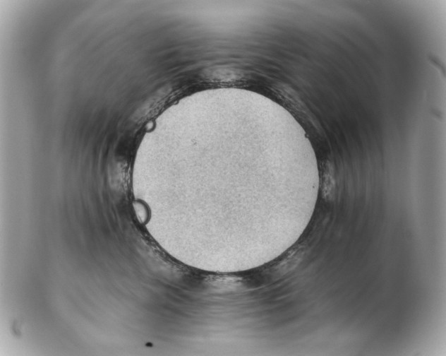 X0000102390476200808291427