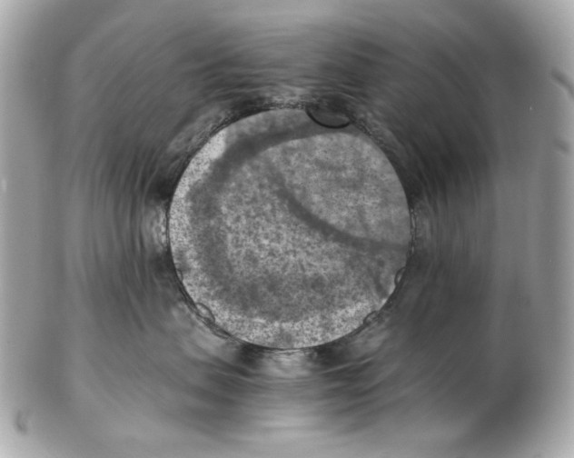X0000102390479200808291427