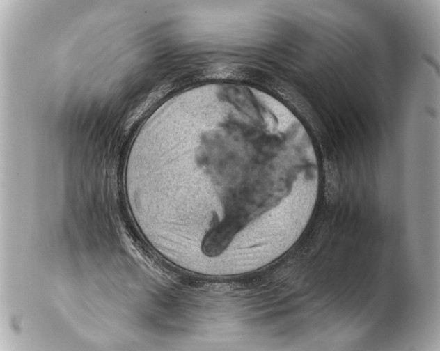 X0000102390482200808291427