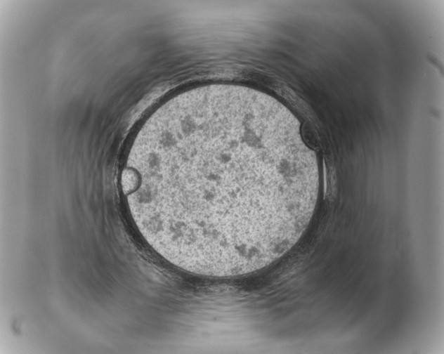 X0000102390483200808291427