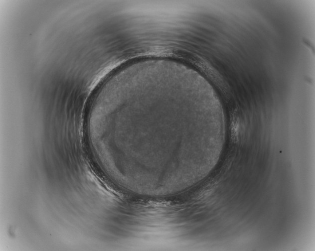 X0000102390484200808291427