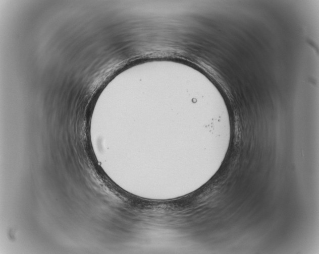 X0000102390485200808291427