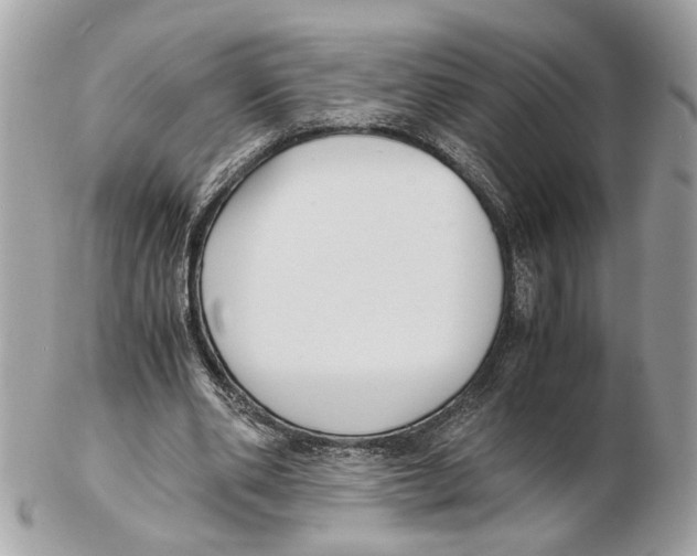 X0000102390486200808291427