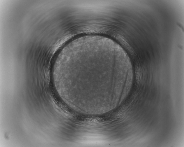 X0000102390488200808291427