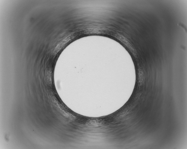 X0000102390489200808291427