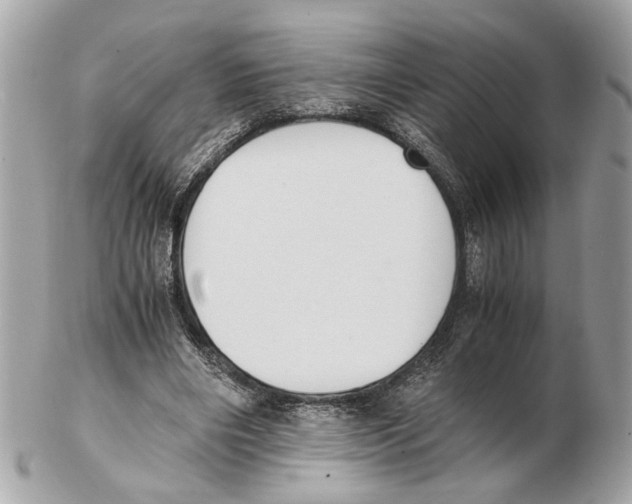 X0000102390490200808291426