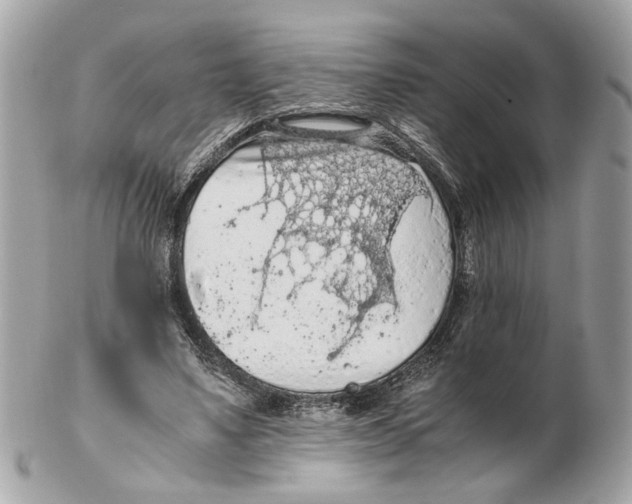 X0000102390491200808291426