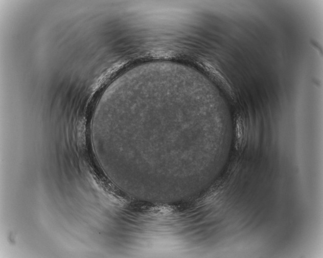 X0000102390492200808291426