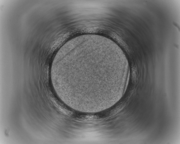X0000102390493200808291426