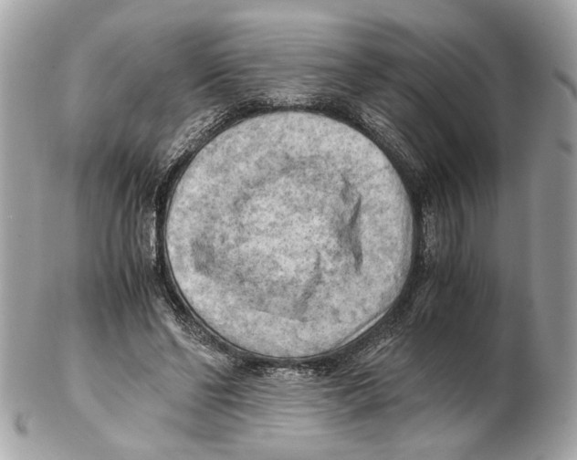 X0000102390494200808291426