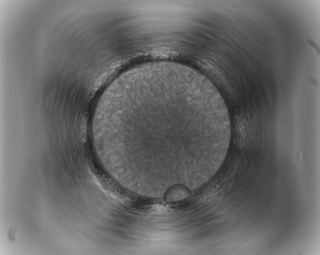 X0000102390496200808291426