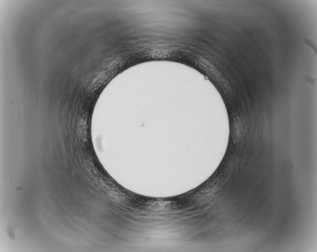 X0000102390497200808291426