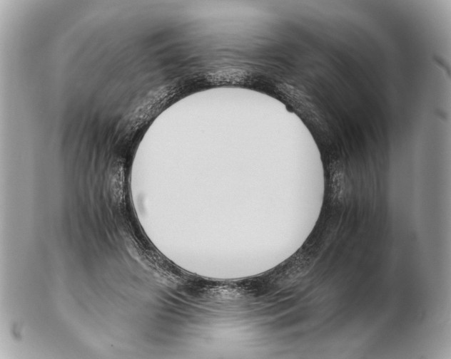 X0000102390498200808291426