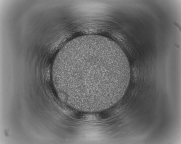 X0000102390499200808291426