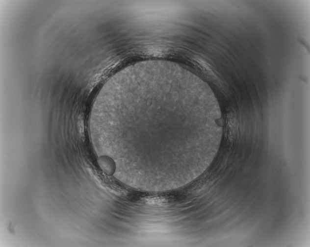 X0000102390500200808291426