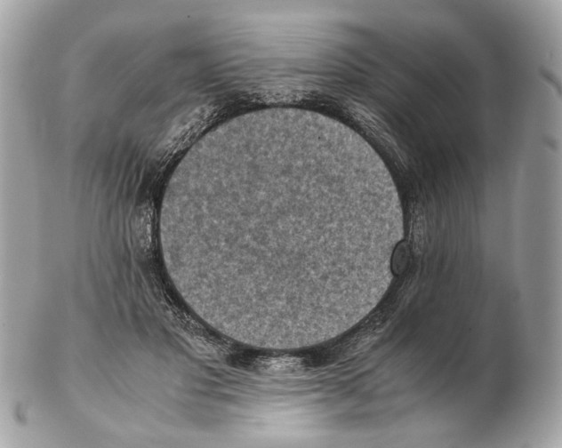 X0000102390501200808291426