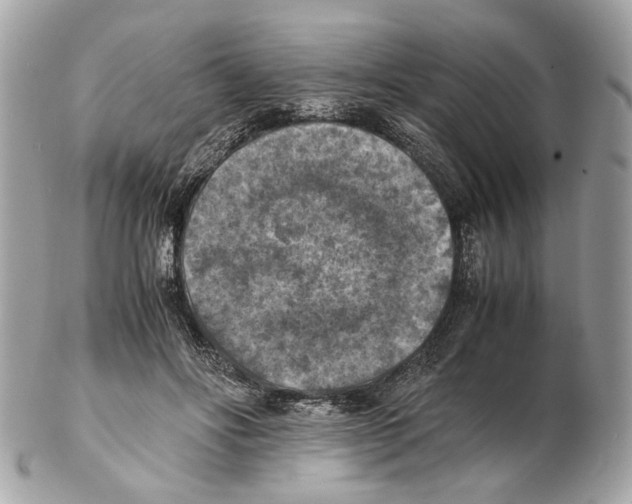 X0000102390502200808291426