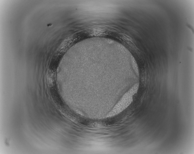X0000102390503200808291426