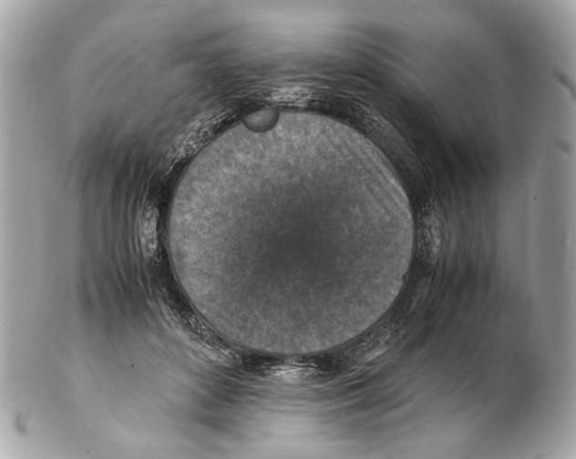 X0000102390504200808291426