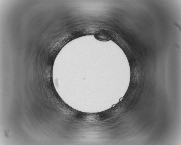 X0000102390505200808291426