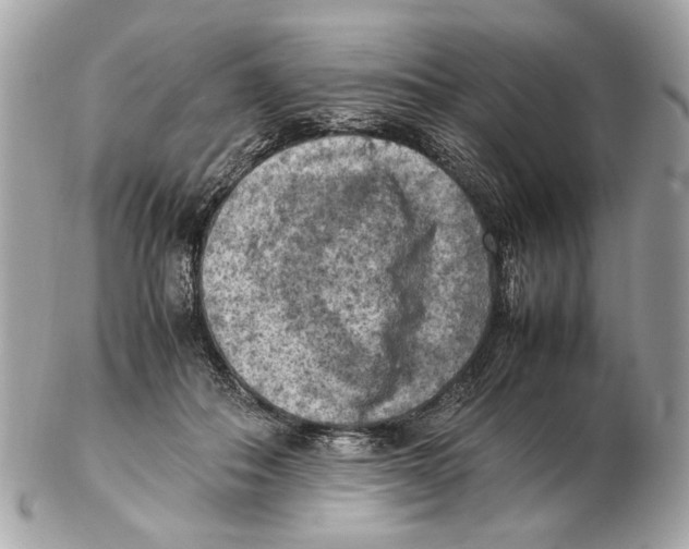 X0000102390506200808291426