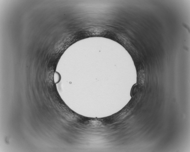X0000102390509200808291426