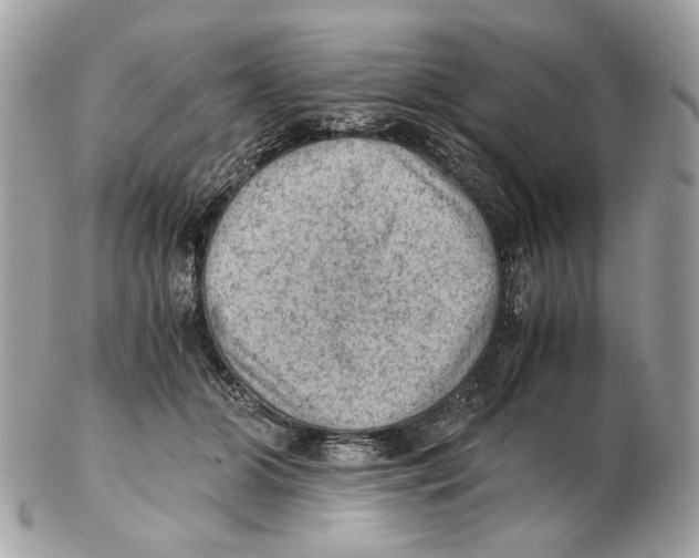 X0000102390510200808291426