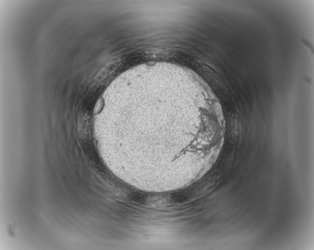 X0000102390511200808291426