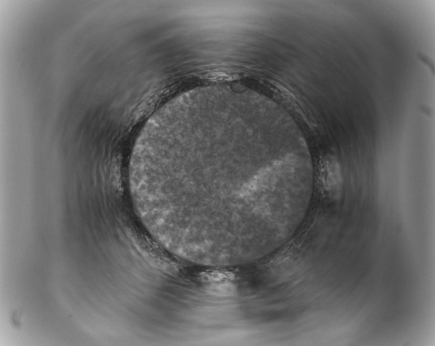 X0000102390512200808291426