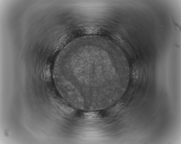 X0000102390516200808291426
