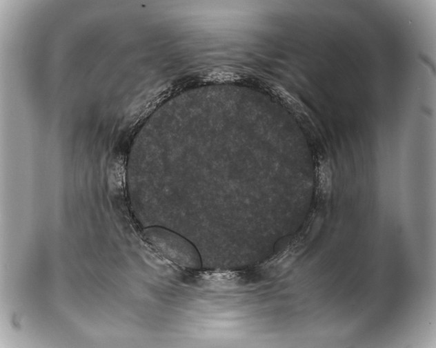 X0000102390517200808291426