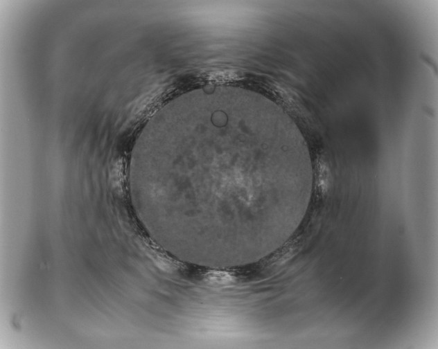 X0000102390519200808291426