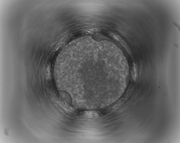 X0000102390520200808291426