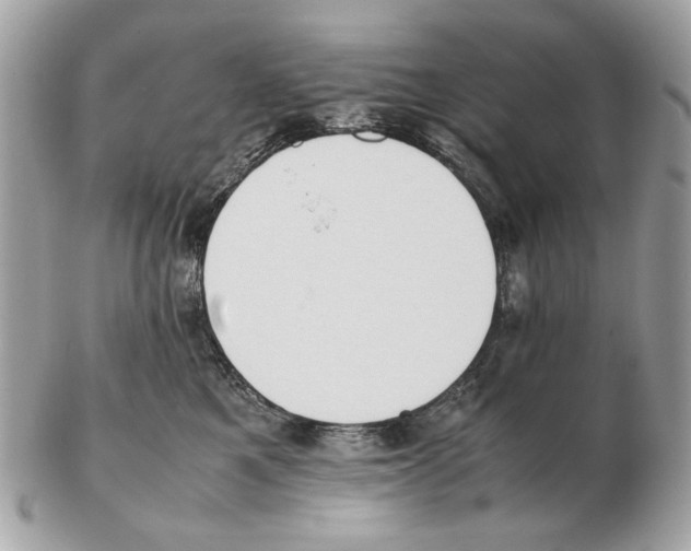 X0000102390521200808291426