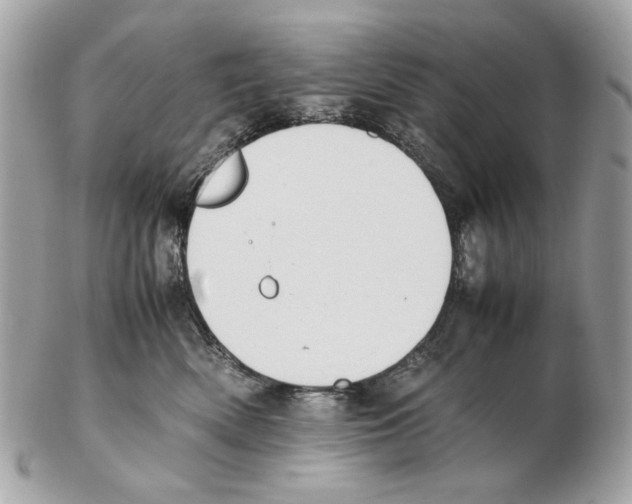X0000102390522200808291426