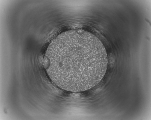 X0000102390523200808291426