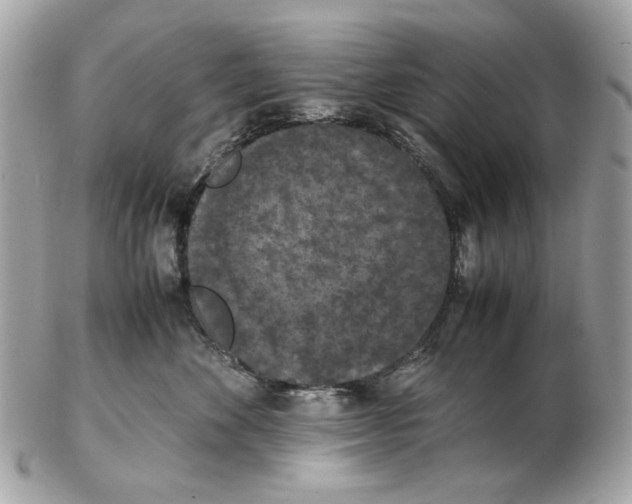 X0000102390524200808291426