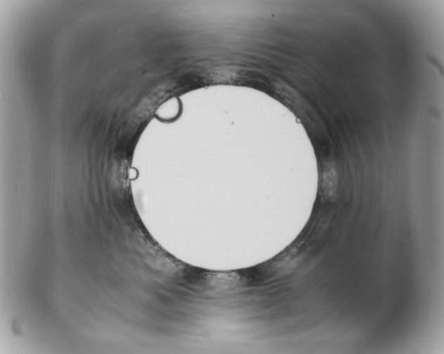 X0000102390525200808291426