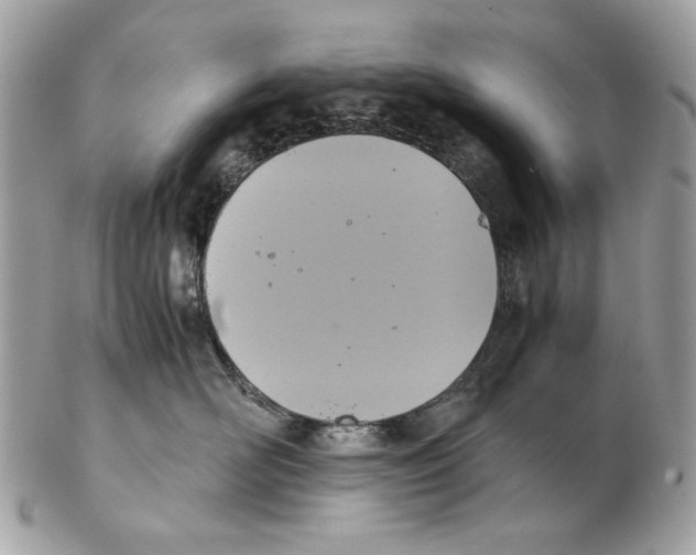 X0000102390526200808291426